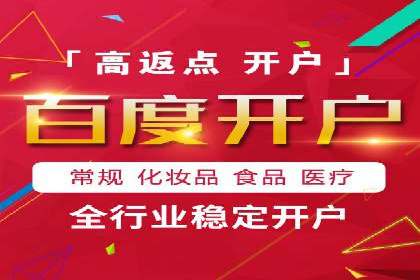 XX领域竞价广告的投放策略及效果展示